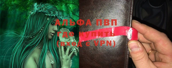 гидра Липки
