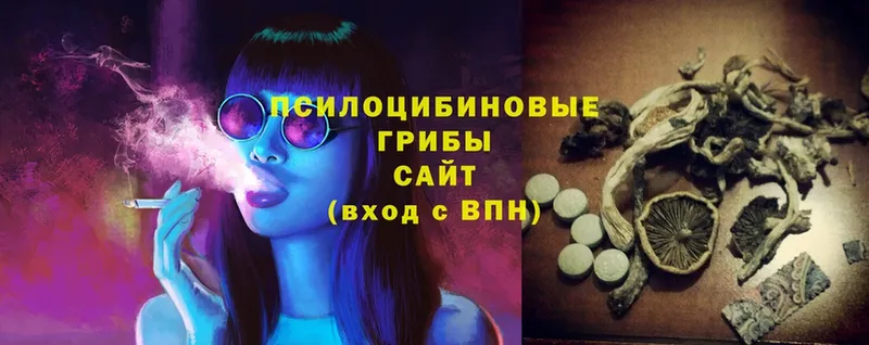 Галлюциногенные грибы Psilocybine cubensis  Камызяк 