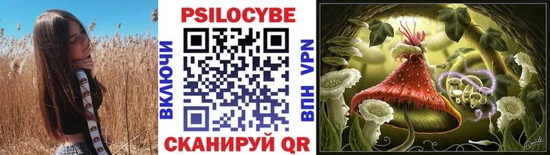 как найти   shop официальный сайт  Галлюциногенные грибы Cubensis  Камызяк  ОМГ ОМГ tor 